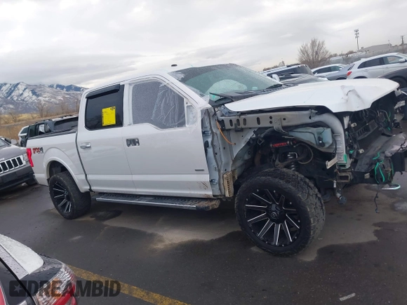 2017 Ford F-150 XL with VIN 1FTEW1EP5HFA52345, listed as a IAAI auction lot 41059665 with 134,193 mi miles and . Bid and sale history available at DreamBid. Image 13.