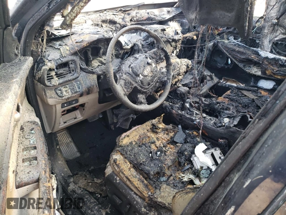 2020 Kia Sorento EX with VIN 5XYPHDA54LG688673, listed as a Copart auction lot 44459305 with Not Provided miles and Salvage Title. Bid and sale history available at DreamBid. Image 8.