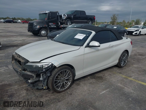 2017 BMW 2 Series 230i with VIN WBA2K9C38HV950695, listed as a IAAI auction lot 41610243 with 102,191 mi miles and . Bid and sale history available at DreamBid. Image 21.