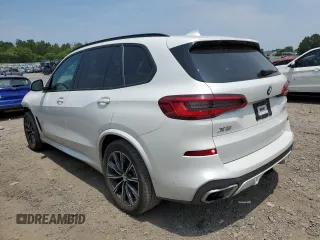 2019 BMW X5 xDrive40i with VIN 5UXCR6C51KLL23163, listed as a Copart auction lot 58598455 with 151,698 mi miles and Salvage title. Bid and sale history available at DreamBid. Image 2.
