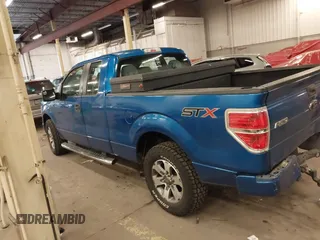 2014 Ford F-150 XL with VIN 1FTFX1CF3EFA38757, listed as a IAAI auction lot 41699899 with 174,214 mi miles. Bid and sale history available at carsss.com. Image 15.