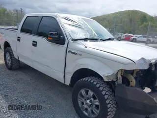 2011 Ford F-150 XL with VIN 1FTFW1EF0BKD38842, listed as a IAAI auction lot 42120431 with 285,712 mi miles and . Bid and sale history available at carsss.com. Image 6.