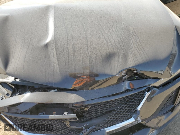 2023 Cadillac CT5 Sport z VIN 1G6DU5RK9P0135448, wystawiony jako Copart lot #70596274 z przebiegiem 9 159 mil mil oraz Szkoda całkowita • Salvage title. Historia ofert i sprzedaży dostępna na DreamBid. Obrazek 13.