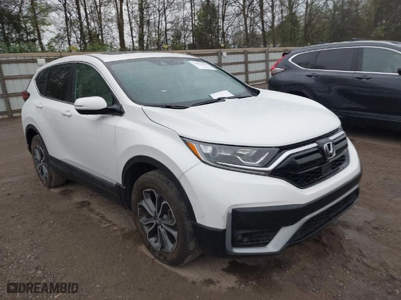 2020 Honda CR-V EX-L with VIN 5J6RW2H83LL047628, listed as a IAAI auction lot 41977919 with 24,459 mi miles. Bid and sale history available at carsss.com. Image 1.