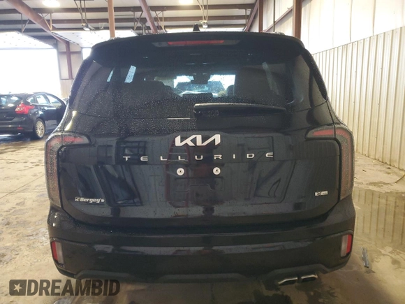 2024 Kia Telluride SX Prestige X-Pro with VIN 5XYP5DGC1RG498689, listed as a Copart auction lot 56469975 with 21,452 mi miles and Salvage title. Bid and sale history available at DreamBid. Image 6.