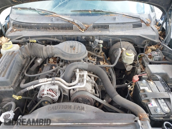 1999 Dodge Durango with VIN 1B4HR28Y4XF703264, listed as a IAAI auction lot 41954185 with 119,725 mi miles and . Bid and sale history available at DreamBid. Image 10.
