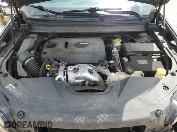 2019 Jeep Cherokee Limited with VIN 1C4PJMDN1KD259536, listed as a Copart auction lot 60029695 with 117,294 mi miles and Salvage title. Bid and sale history available at DreamBid. Image 12.