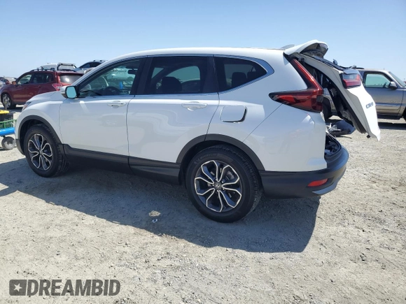 2020 Honda CR-V EX with VIN 2HKRW2H55LH689235, listed as a Copart auction lot 53967155 with 49,166 mi miles and Salvage Title. Bid and sale history available at carsss.com. Image 2.