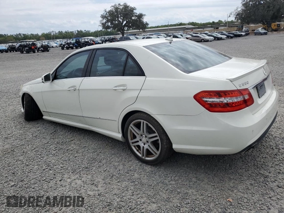 2010 Mercedes-Benz E 550 Luxury with VIN WDDHF7CB3AA134560, listed as a Copart auction lot 48516615 with 165,533 mi miles and Salvage Title. Bid and sale history available at DreamBid. Image 2.