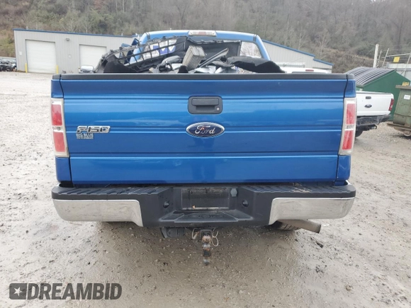 2009 Ford F-150 XL with VIN 1FTRF14WX9KB51584, listed as a Copart auction lot 65973012 with 169,766 mi miles and Salvage title. Bid and sale history available at DreamBid. Image 10.