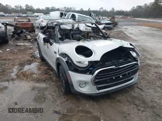 2017 MINI Convertible Cooper with VIN WMWWG5C30H3C20290, listed as a IAAI auction lot 41750397 with Not provided miles and . Bid and sale history available at DreamBid. Image 1.