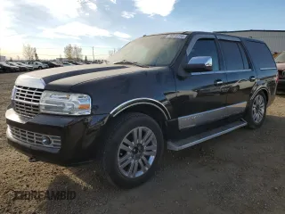 2009 Lincoln Navigator with VIN 5LMFU28519LJ00381, listed as a Copart auction lot 76010714 with 257,670 mi miles and Salvage title. Bid and sale history available at DreamBid. Image 1.