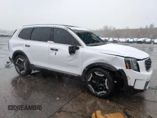 2023 Kia Telluride S with VIN 5XYP6DGCXPG358814, listed as a Copart auction lot 53820505 with 10,329 mi miles and Salvage Title. Bid and sale history available at carsss.com. Image 4.
