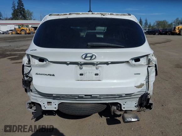 2019 Hyundai Santa Fe SE with VIN 5NMS2CAD0KH098259, listed as a IAAI auction lot 42075356 with 55,163 mi miles and . Bid and sale history available at DreamBid. Image 17.