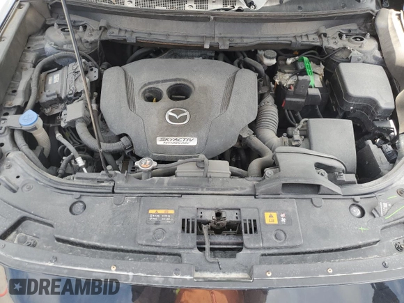 2019 Mazda CX-9 Grand Touring with VIN JM3TCBDY8K0303103, listed as a Copart auction lot 54381085 with 163,005 mi miles and Salvage Title. Bid and sale history available at DreamBid. Image 11.