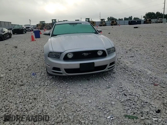 2013 Ford Mustang GT with VIN 1ZVBP8CF2D5215937, listed as a Copart auction lot 61425015 with Not provided miles and Salvage title. Bid and sale history available at DreamBid. Image 13.