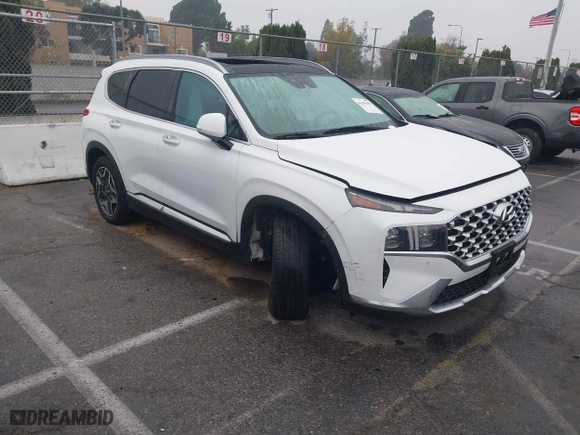 2021 Hyundai Santa Fe Limited with VIN 5NMS44AL5MH315413, listed as a IAAI auction lot 41205405 with 60,677 mi miles. Bid and sale history available at carsss.com. Image 1.