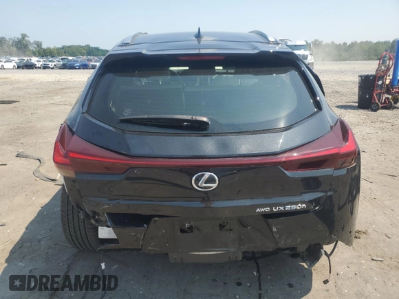 2023 Lexus UX 250h Premium с VIN JTHP9JBHXP2070096, выставлен на аукционе Copart как лот 65645035 с пробегом 9 748 миль миль и Списание • Salvage title. История ставок и продаж доступна на DreamBid. Изображение 6.