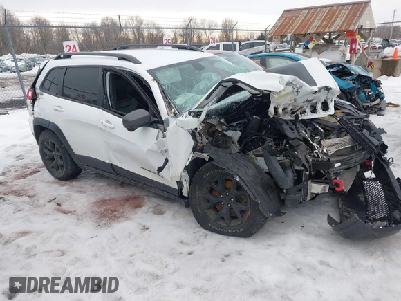 2019 Jeep Cherokee Trailhawk Elite with VIN 1C4PJMBX0KD362287, listed as a IAAI auction lot 41656425 with 87,641 mi miles. Bid and sale history available at carsss.com. Image 1.