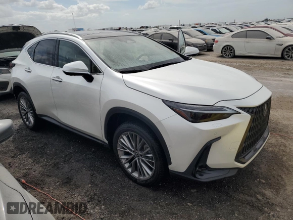 2022 Lexus NX with VIN JTJHKCEZ1N5002627, listed as a Copart auction lot 74983514 with 19,228 mi miles and Non Repairable. Bid and sale history available at carsss.com. Image 4.