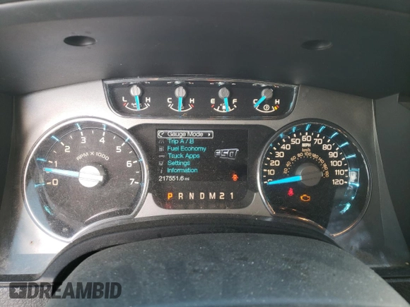 2013 Ford F-150 XL with VIN 1FTFW1ET3DFB74259, listed as a Copart auction lot 44610155 with 217,551 mi miles and Clean Title. Bid and sale history available at carsss.com. Image 9.