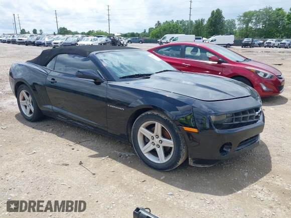 2011 Chevrolet Camaro 1LT with VIN 2G1FB3DD7B9183384, listed as a IAAI auction lot 42527994 with 238,375 mi miles and . Bid and sale history available at DreamBid. Image 1.