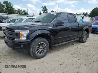 2019 Ford F-150 XL with VIN 1FTEX1EPXKKC95838, listed as a Copart auction lot 65457405 with 176,071 mi miles and Clean title. Bid and sale history available at DreamBid. Image 1.