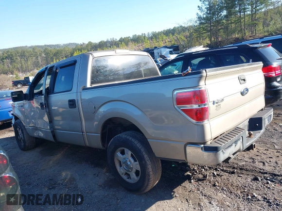 2010 Ford F-150 XL with VIN 1FTEW1C88AFA10043, listed as a IAAI auction lot 41764767 with 222,301 mi miles. Bid and sale history available at carsss.com. Image 14.