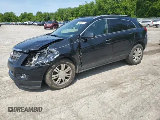 2010 Cadillac SRX Luxury Collection z VIN 3GYFNDEY5AS642087, wystawiony jako Copart lot #58380075 z przebiegiem 123 765 mil mil oraz Szkody całkowita. Historia ofert i sprzedaży dostępna na DreamBid. Obrazek 1.