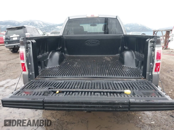 2010 Ford F-150 XL with VIN 1FTFX1EV4AFA22307, listed as a IAAI auction lot 41702951 with 199,943 mi miles and . Bid and sale history available at DreamBid. Image 16.