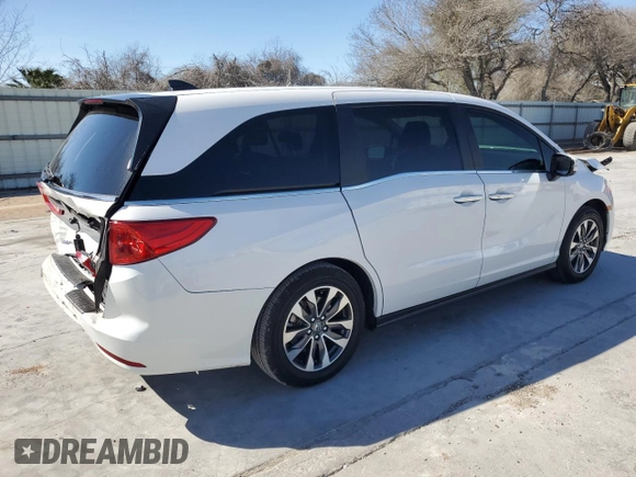 2024 Honda Odyssey EX-L with VIN 5FNRL6H66RB069509, listed as a Copart auction lot 47198505 with 3,341 mi miles and Salvage Title. Bid and sale history available at DreamBid. Image 3.