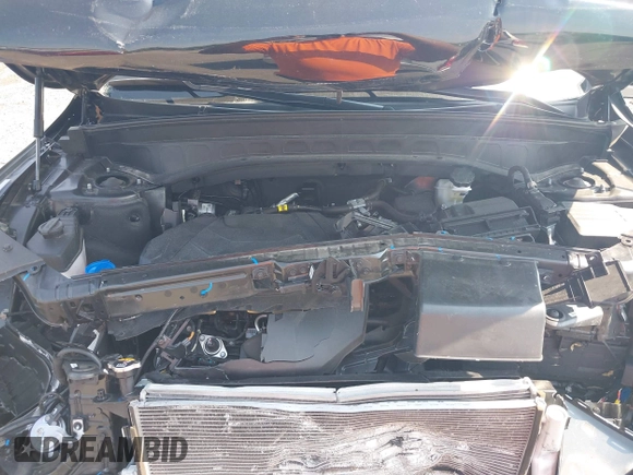 2023 Kia Telluride SX X-Pro с VIN 5XYP5DGC0PG343354, выставлен на аукционе IAAI как лот 42463746 с пробегом 30 916 миль миль и . История ставок и продаж доступна на DreamBid. Изображение 10.