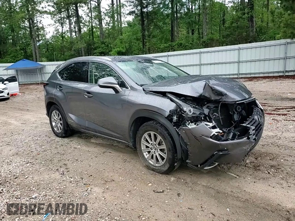 2021 Lexus NX 300h with VIN JTJDJRDZ2M2147276, listed as a Copart auction lot 56119315 with 39,132 mi miles and Salvage title. Bid and sale history available at DreamBid. Image 14.