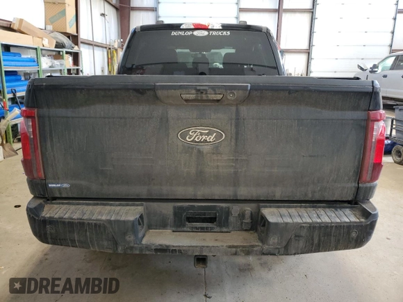 2024 Ford F-150 XLT with VIN 1FTEW3LPXRKD90654, listed as a Copart auction lot 48787155 with 25,677 mi miles and Salvage Title. Bid and sale history available at carsss.com. Image 6.