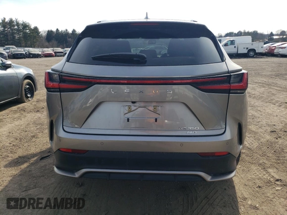 2025 Lexus NX with VIN 2T2KGCEZ5SC065069, listed as a Copart auction lot 46268025 with 6,559 mi miles and Salvage Title. Bid and sale history available at carsss.com. Image 6.