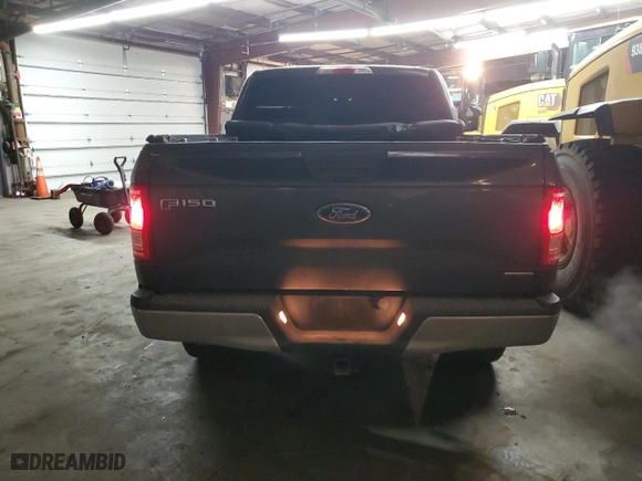 2016 Ford F-150 XLT with VIN 1FTEW1EF3GKE76491, listed as a Copart auction lot 45911015 with 116,881 mi miles and Salvage Title. Bid and sale history available at carsss.com. Image 6.