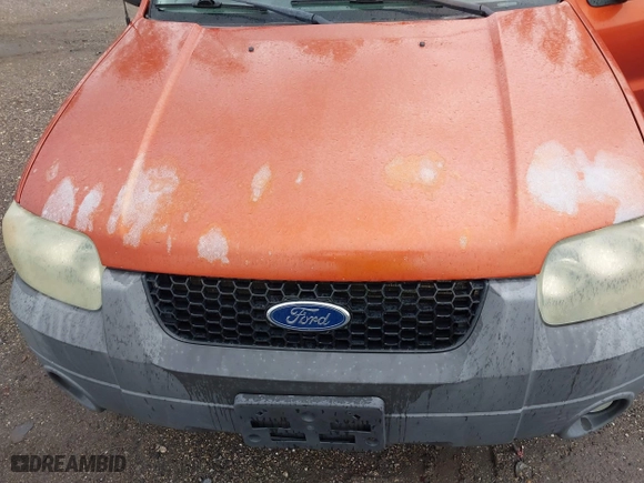 2007 Ford Escape XLT with VIN 1FMYU93177KA38867, listed as a IAAI auction lot 41652994 with 136,730 mi miles. Bid and sale history available at carsss.com. Image 13.