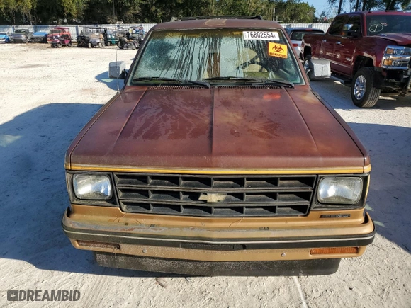 1988 Chevrolet S-10 Blazer with VIN 1GNCS18R1J0106286, listed as a Copart auction lot 76802554 with NaN miles and Salvage Title. Bid and sale history available at carsss.com. Image 5.