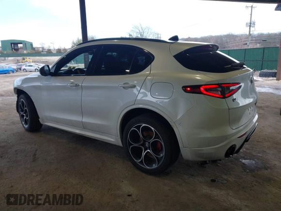 2021 Alfa Romeo Stelvio Ti z VIN ZASPAKBN3M7D13693, wystawiony jako IAAI lot #41584848 z przebiegiem 46 016 mil mil oraz . Historia ofert i sprzedaży dostępna na DreamBid. Obrazek 3.