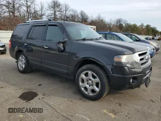 2013 Ford Expedition Limited with VIN 1FMJU2A52DEF45975, listed as a Copart auction lot 48716455 with 156,271 mi miles and Non repairable. Bid and sale history available at DreamBid. Image 4.
