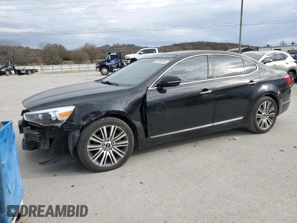 2014 Kia Cadenza Premium with VIN KNALN4D79E5152802, listed as a Copart auction lot 80728394 with 173,015 mi miles and Clean Title. Bid and sale history available at carsss.com. Image 1.
