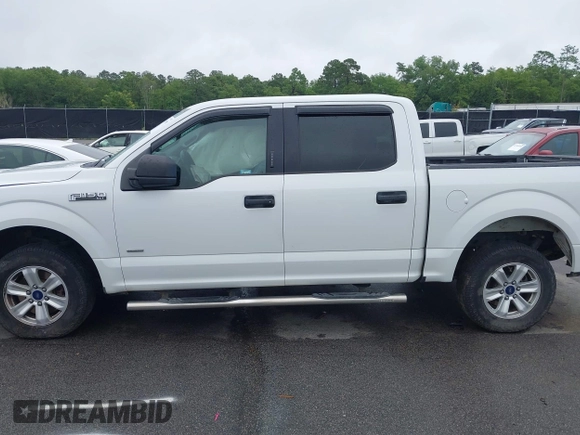 2016 Ford F-150 XL with VIN 1FTEW1CG3GFB28758, listed as a IAAI auction lot 42331398 with 146,299 mi miles and . Bid and sale history available at DreamBid. Image 14.