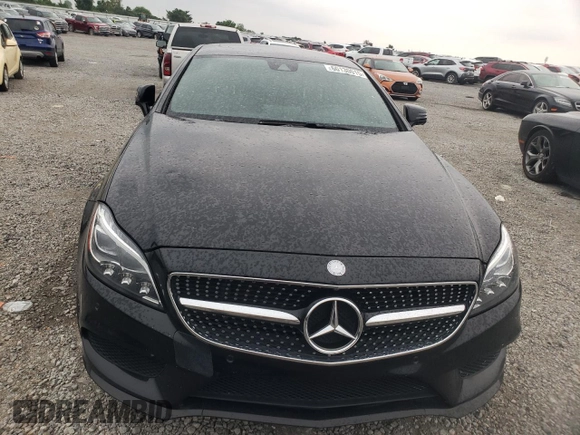 2016 Mercedes-Benz CLS 550 with VIN WDDLJ7DB3GA179515, listed as a Copart auction lot 60130015 with 123,147 mi miles and Salvage title. Bid and sale history available at DreamBid. Image 5.