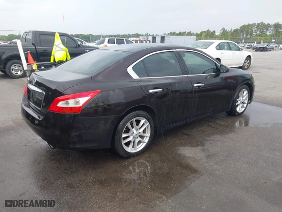2010 Nissan Maxima 3.5 SV with VIN 1N4AA5APXAC823597, listed as a IAAI auction lot 41970712 with 217,610 mi miles. Bid and sale history available at carsss.com. Image 4.