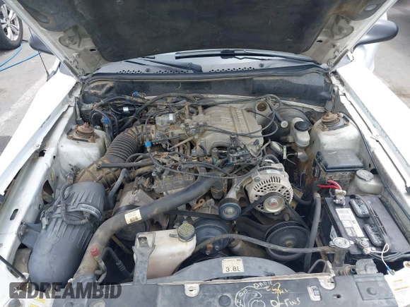 1998 Ford Mustang with VIN 1FAFP4045WF152304, listed as a IAAI auction lot 42378956 with 200,921 mi miles and . Bid and sale history available at DreamBid. Image 10.