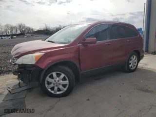 2009 Honda CR-V EX-L with VIN JHLRE48739C015267, listed as a Copart auction lot 53178785 with 207,713 mi miles and Salvage Title. Bid and sale history available at carsss.com. Image 1.