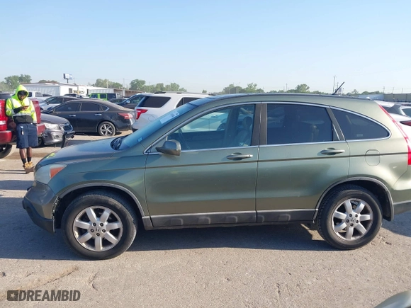 2009 Honda CR-V EX-L with VIN 5J6RE48709L027643, listed as a IAAI auction lot 41985380 with 273,156 mi miles. Bid and sale history available at carsss.com. Image 14.
