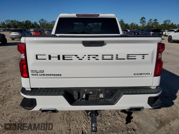2020 Chevrolet Silverado 1500 Custom with VIN 3GCPWBEF1LG165920, listed as a Copart auction lot 81348844 with 67,801 mi miles and Salvage Title. Bid and sale history available at carsss.com. Image 6.