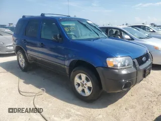 2007 Ford Escape XLT with VIN 1FMYU03117KC07213, listed as a Copart auction lot 75800064 with 0 mi miles and Non Repairable. Bid and sale history available at carsss.com. Image 4.