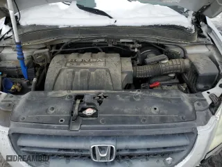 2003 Honda Pilot EX with VIN 2HKYF185X3H622376, listed as a Copart auction lot 41885865 with 205,438 mi miles and Salvage Title. Bid and sale history available at carsss.com. Image 14.